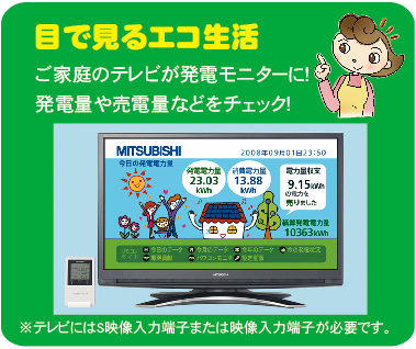 目で見るエコ生活